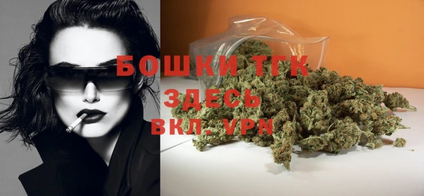тгк Алексин
