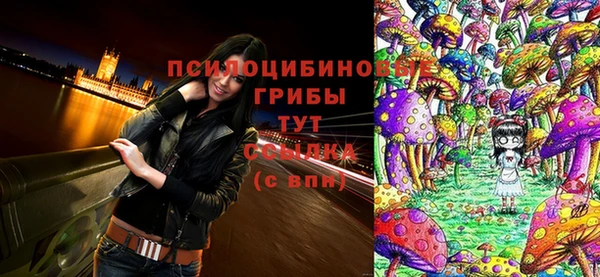 тгк Алексин