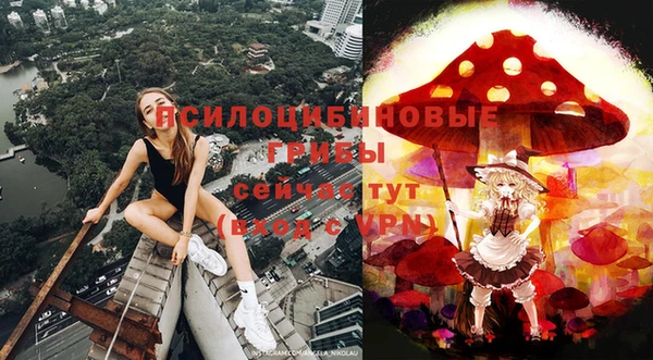тгк Алексин