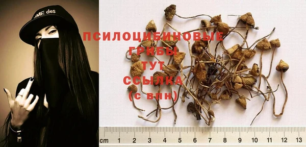 тгк Алексин